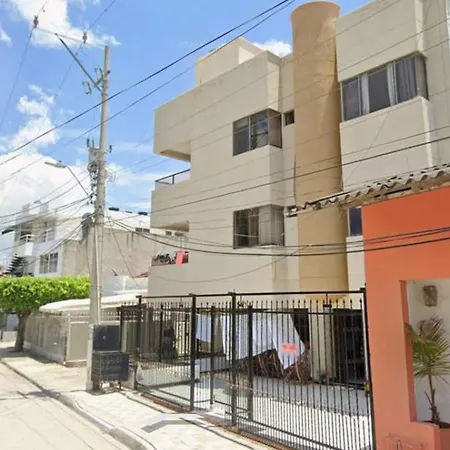 Gaviotas 41 *